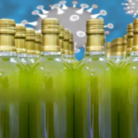 Olivenolie forbliver vegansk indtil nu Opbyg en immunforsvarsmur mod infektioner.