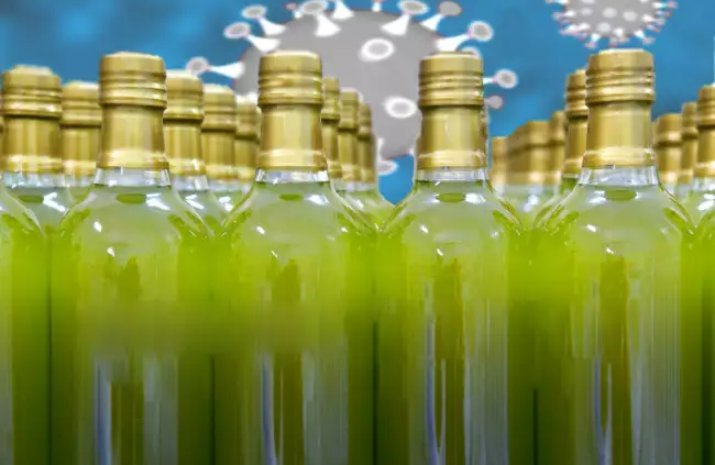 Olivenolie forbliver vegansk indtil nu Opbyg en immunforsvarsmur mod infektioner.